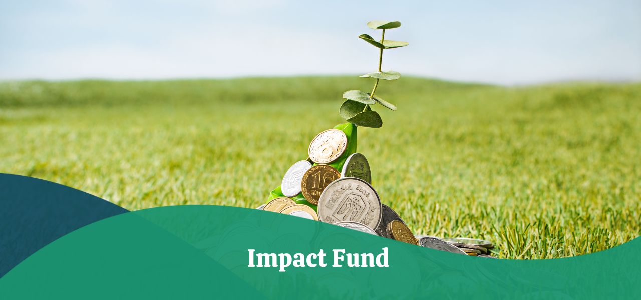 Impact Investing Fund Of Funds